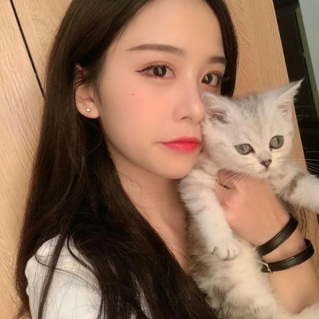 半岛综合官网App截图