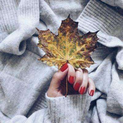 丰禾棋牌手机app下载