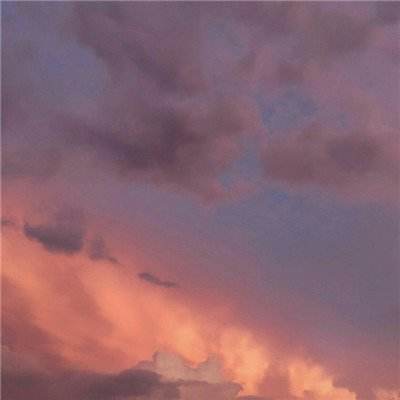 半岛综合官网App